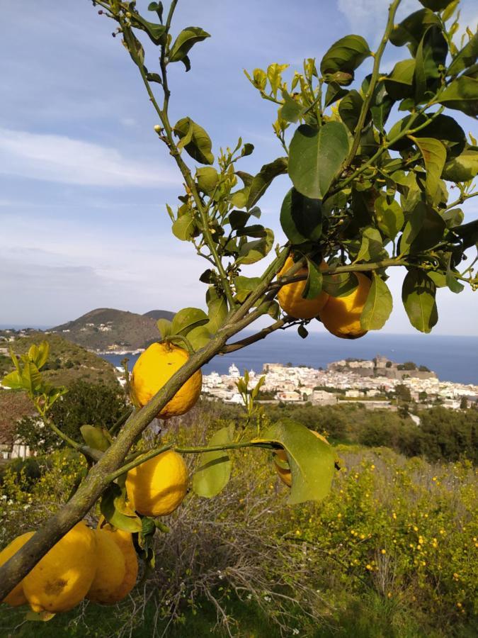 Villa Belvedere Lipari  Dış mekan fotoğraf